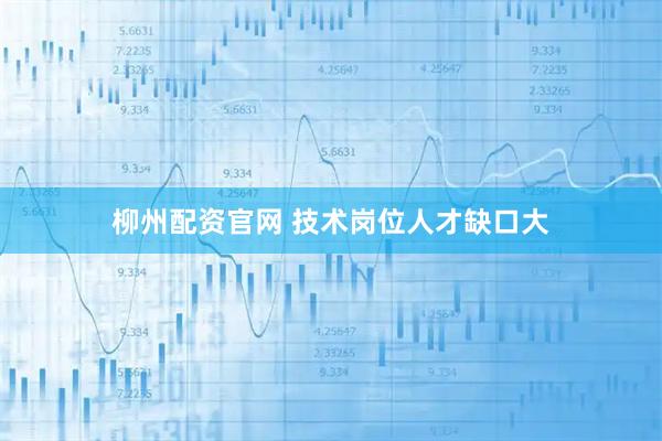柳州配资官网 技术岗位人才缺口大