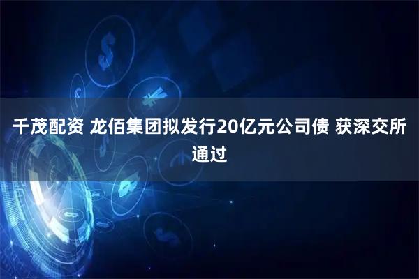 千茂配资 龙佰集团拟发行20亿元公司债 获深交所通过
