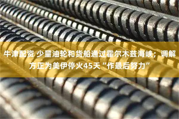 牛津配资 少量油轮和货船通过霍尔木兹海峡；调解方正为美伊停火45天“作最后努力”