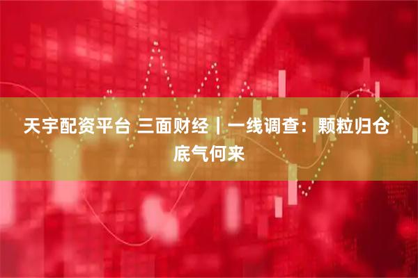 天宇配资平台 三面财经｜一线调查：颗粒归仓 底气何来